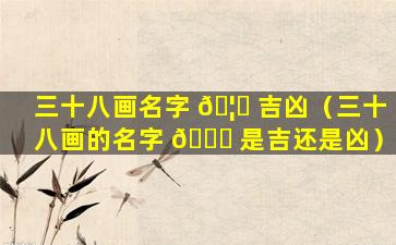 三十八画名字 🦋 吉凶（三十八画的名字 💐 是吉还是凶）